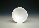 Clayscapes  Pottery Signature Line Glaze - Lake Effect White